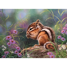 Load image into Gallery viewer, Squirrel - Full Drill Diamond Painting
