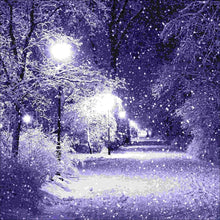 Load image into Gallery viewer, Snowing - Full Drill Diamond Painting
