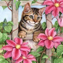 Load image into Gallery viewer, Cat  - Full Drill Diamond Painting
