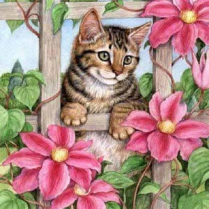Cat  - Full Drill Diamond Painting