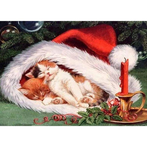 Cat - Full Drill Diamond Painting