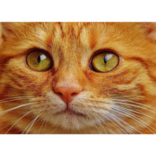 Load image into Gallery viewer, Cat - Full Drill Diamond Painting
