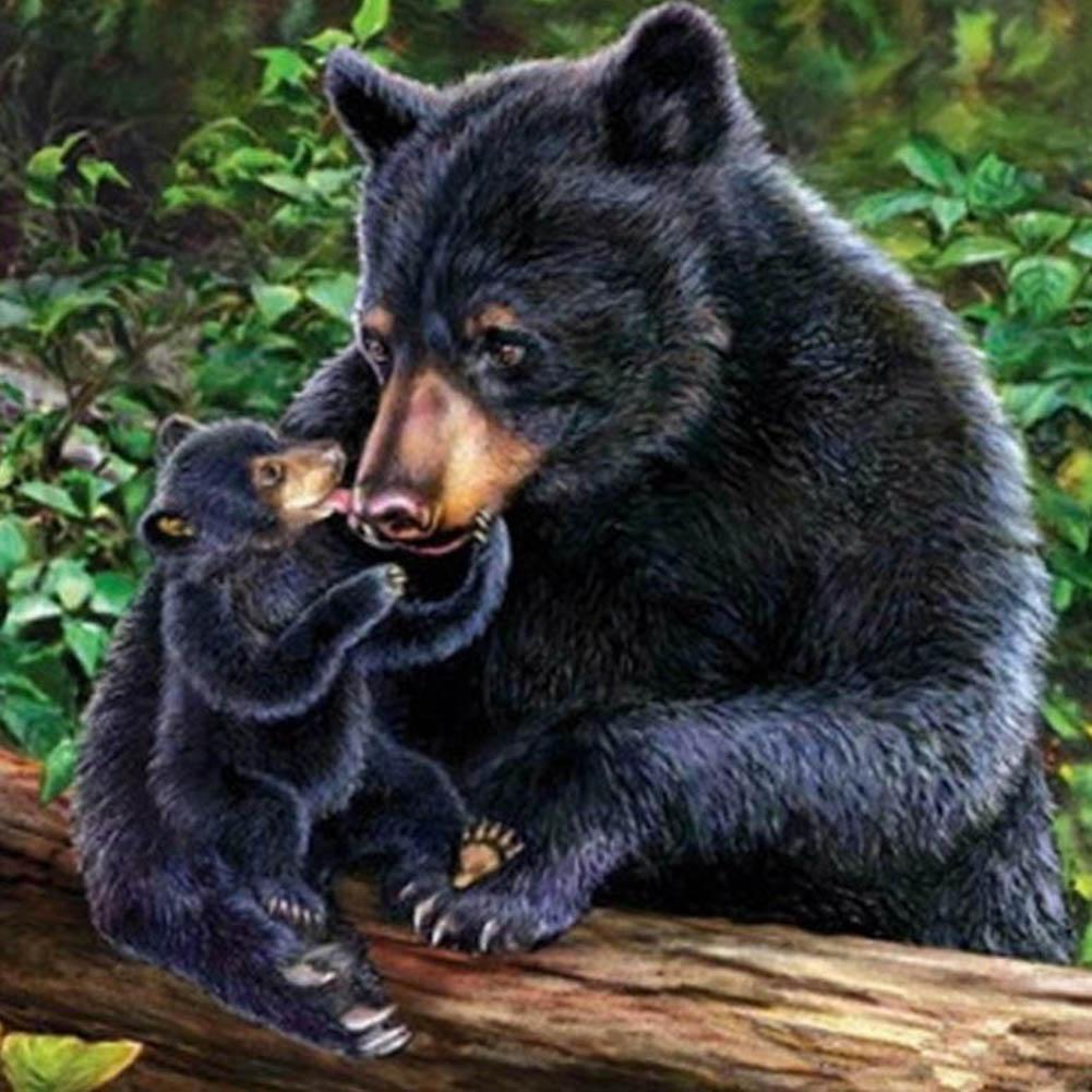 Black Bear - Full Drill Diamond Painting