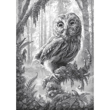 Load image into Gallery viewer, Owl - Full Drill Diamond Painting
