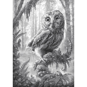 Owl - Full Drill Diamond Painting