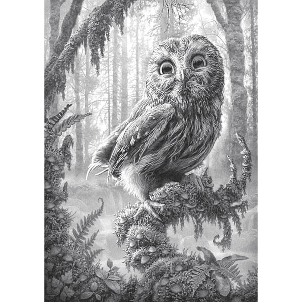 Owl - Full Drill Diamond Painting