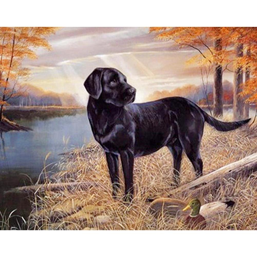 Dog - Full Drill Diamond Painting