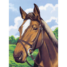 Load image into Gallery viewer, Horse - Full Drill Diamond Painting
