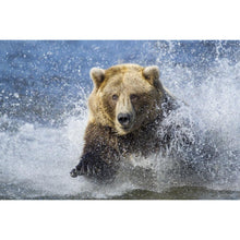 Load image into Gallery viewer, Bear - Full Drill Diamond Painting
