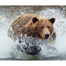 Load image into Gallery viewer, Bear - Full Drill Diamond Painting
