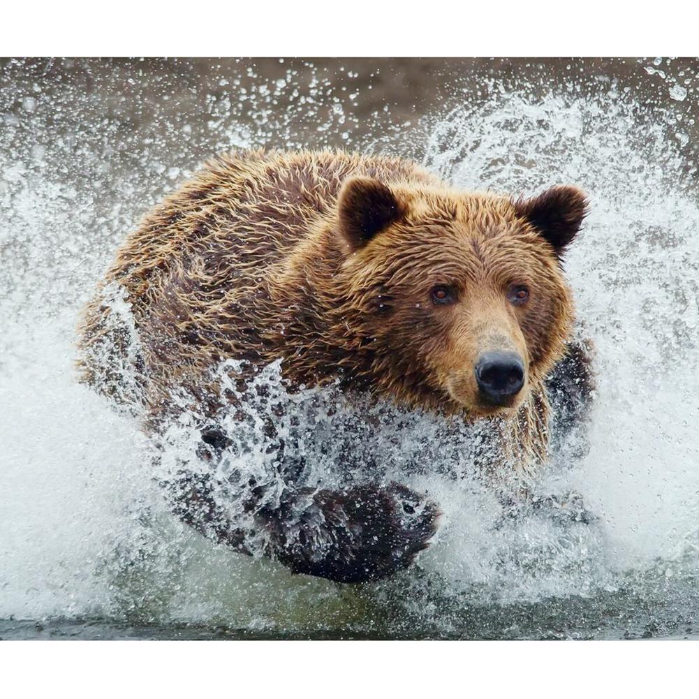 Bear - Full Drill Diamond Painting
