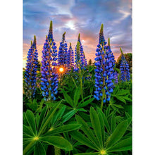 Load image into Gallery viewer, Wonderful Nature - Full Drill Diamond Painting
