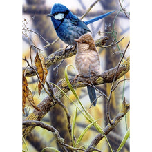 Load image into Gallery viewer, ParrotSet - Full Drill Diamond Painting
