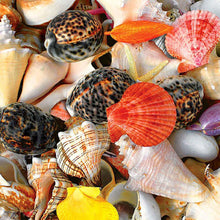 Load image into Gallery viewer, Seashell - Full Drill Diamond Painting
