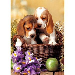Basket Dog - Full Drill Diamond Painting