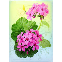 Load image into Gallery viewer, Flowers - Full Drill Diamond Painting
