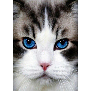 Cat - Full Drill Diamond Painting