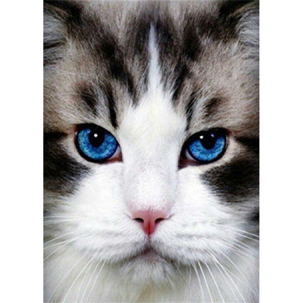 Cat - Full Drill Diamond Painting
