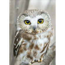 Load image into Gallery viewer, Owl - Full Drill Diamond Painting
