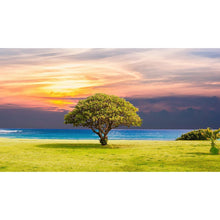 Load image into Gallery viewer, Tree - Full Drill Diamond Painting
