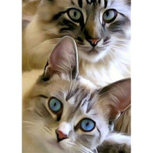 Load image into Gallery viewer, Cat - Full Drill Diamond Painting
