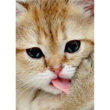 Load image into Gallery viewer, Cat - Full Drill Diamond Painting
