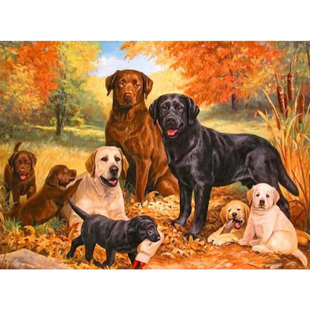 Dog - Full Drill Diamond Painting