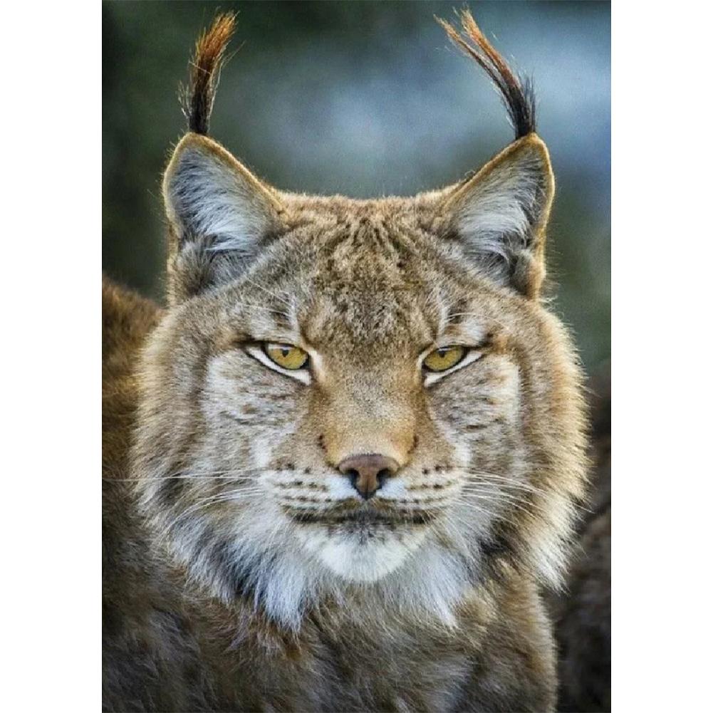 Cat - Full Drill Diamond Painting