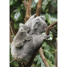 Load image into Gallery viewer, Full Cute Koala - Full Drill Diamond Painting
