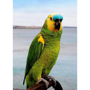 Cute Bird - Full Drill Diamond Painting