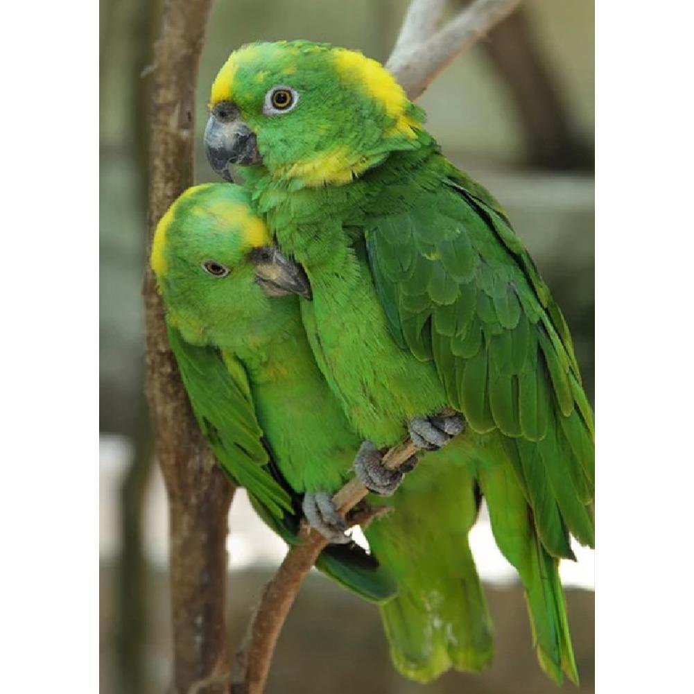 Cute Bird - Full Drill Diamond Painting
