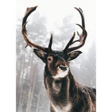 Load image into Gallery viewer, Full Elk - Full Drill Diamond Painting
