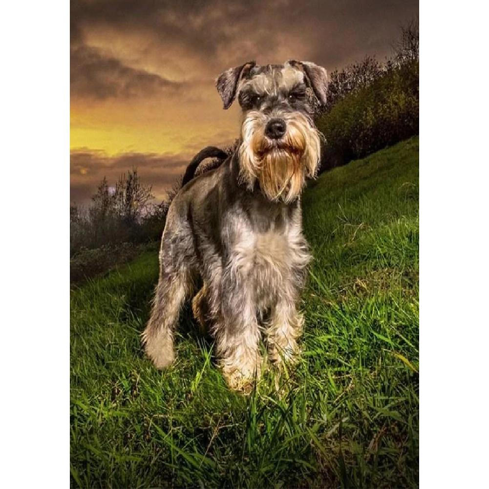 Grey Dog - Full Drill Diamond Painting