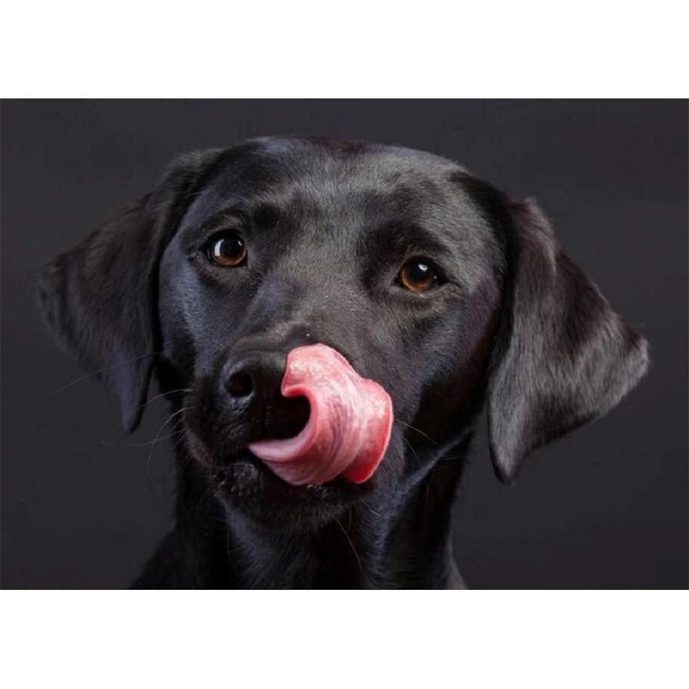 Black Dog - Full Drill Diamond Painting