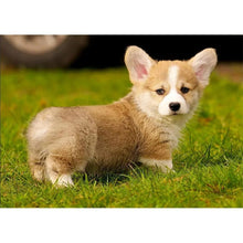 Load image into Gallery viewer, Puppy - Full Drill Diamond Painting
