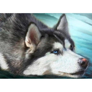 Dog - Full Drill Diamond Painting