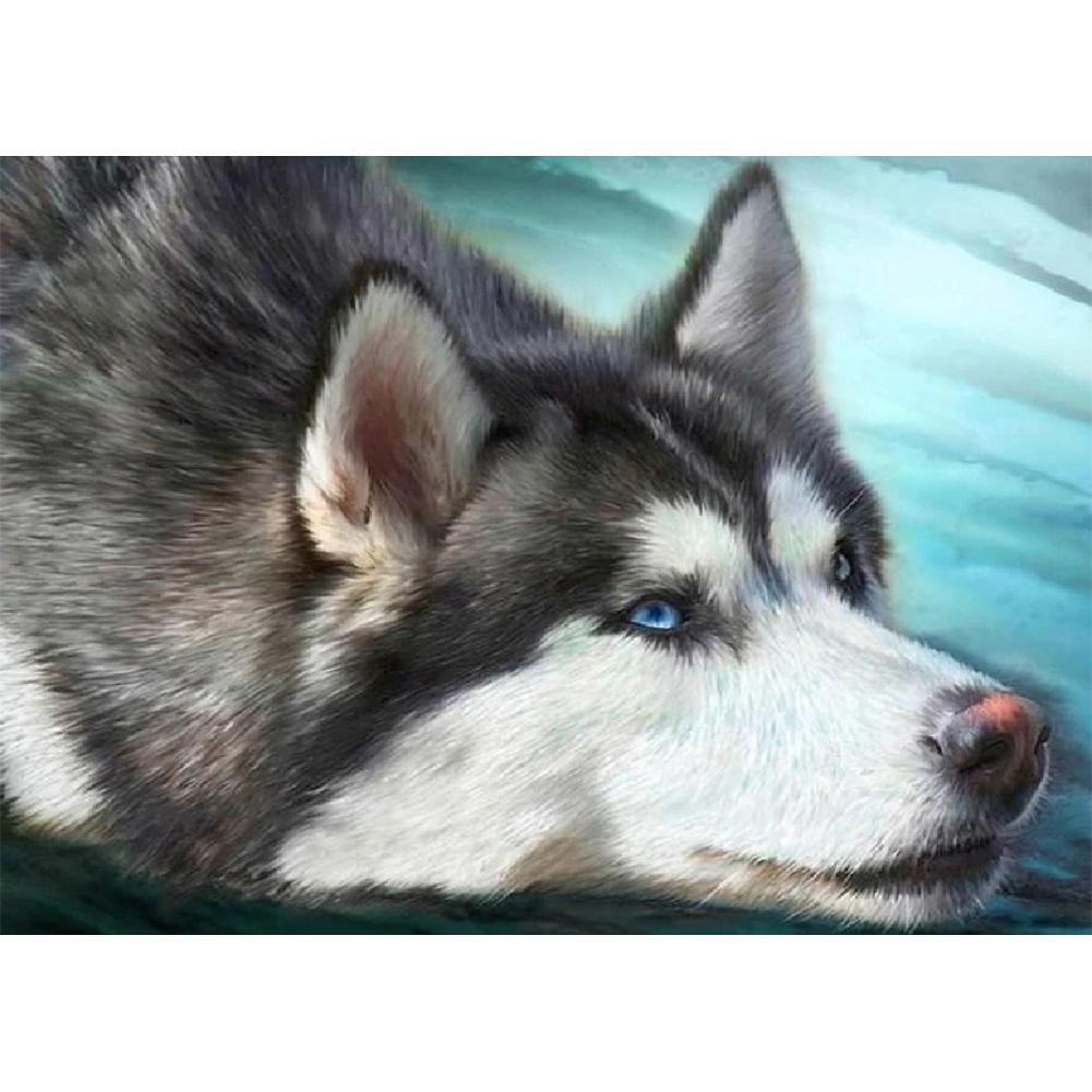 Dog - Full Drill Diamond Painting
