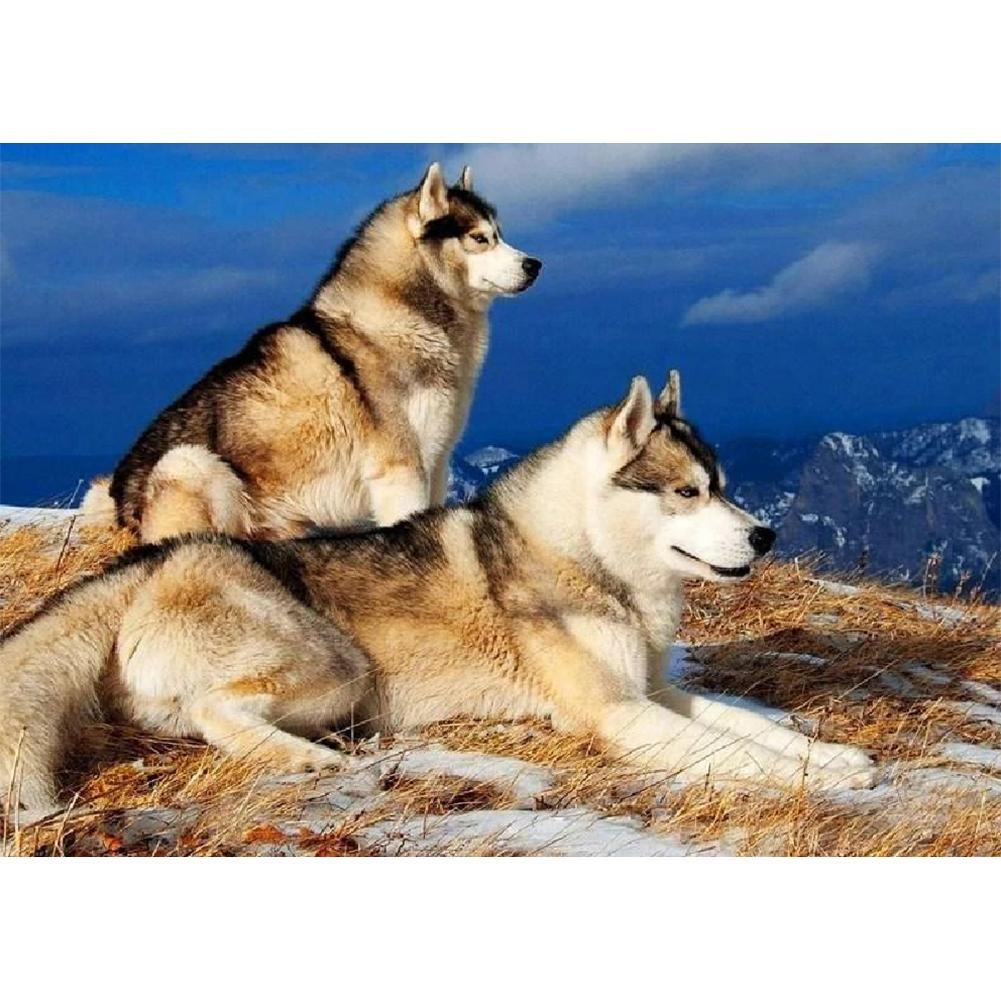 Dogs - Full Drill Diamond Painting