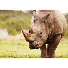 Load image into Gallery viewer, Rhinoceros - Full Drill Diamond Painting
