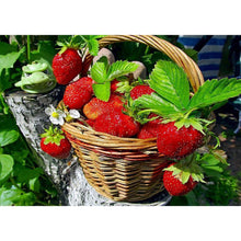 Load image into Gallery viewer, Basket Strawberry - Full Drill Diamond Painting
