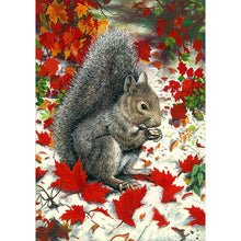 Load image into Gallery viewer, SquirrelAnimal - Full Drill Diamond Painting
