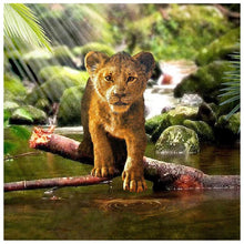 Load image into Gallery viewer, Lion Zoo - Full Drill Diamond Painting
