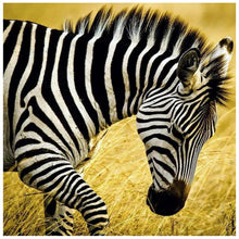 Load image into Gallery viewer, Walking Zebra - Full Drill Diamond Painting
