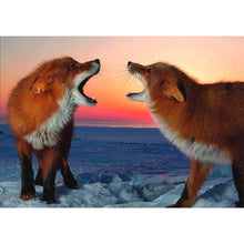Load image into Gallery viewer, Two Foxes - Full Drill Diamond Painting
