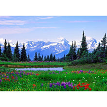 Load image into Gallery viewer, Field Flowers - Full Drill Diamond Painting
