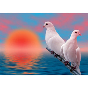 Two Pigeons Animal - Full Drill Diamond Painting