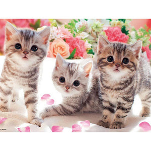 Cat - Full Drill Diamond Painting