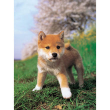 Load image into Gallery viewer, Curious Dog - Full Drill Diamond Painting
