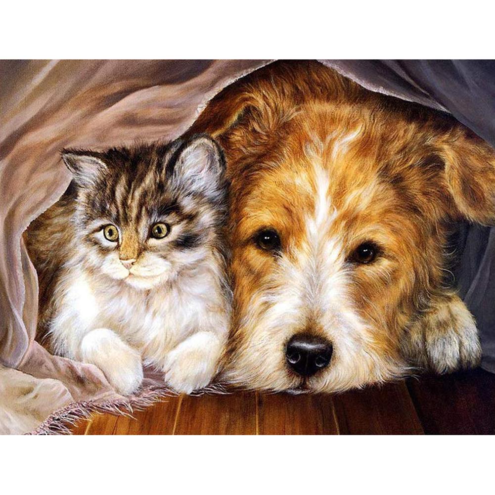 Boring Cat Dog - Full Drill Diamond Painting