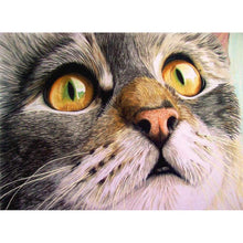 Load image into Gallery viewer, Cat - Full Drill Diamond Painting
